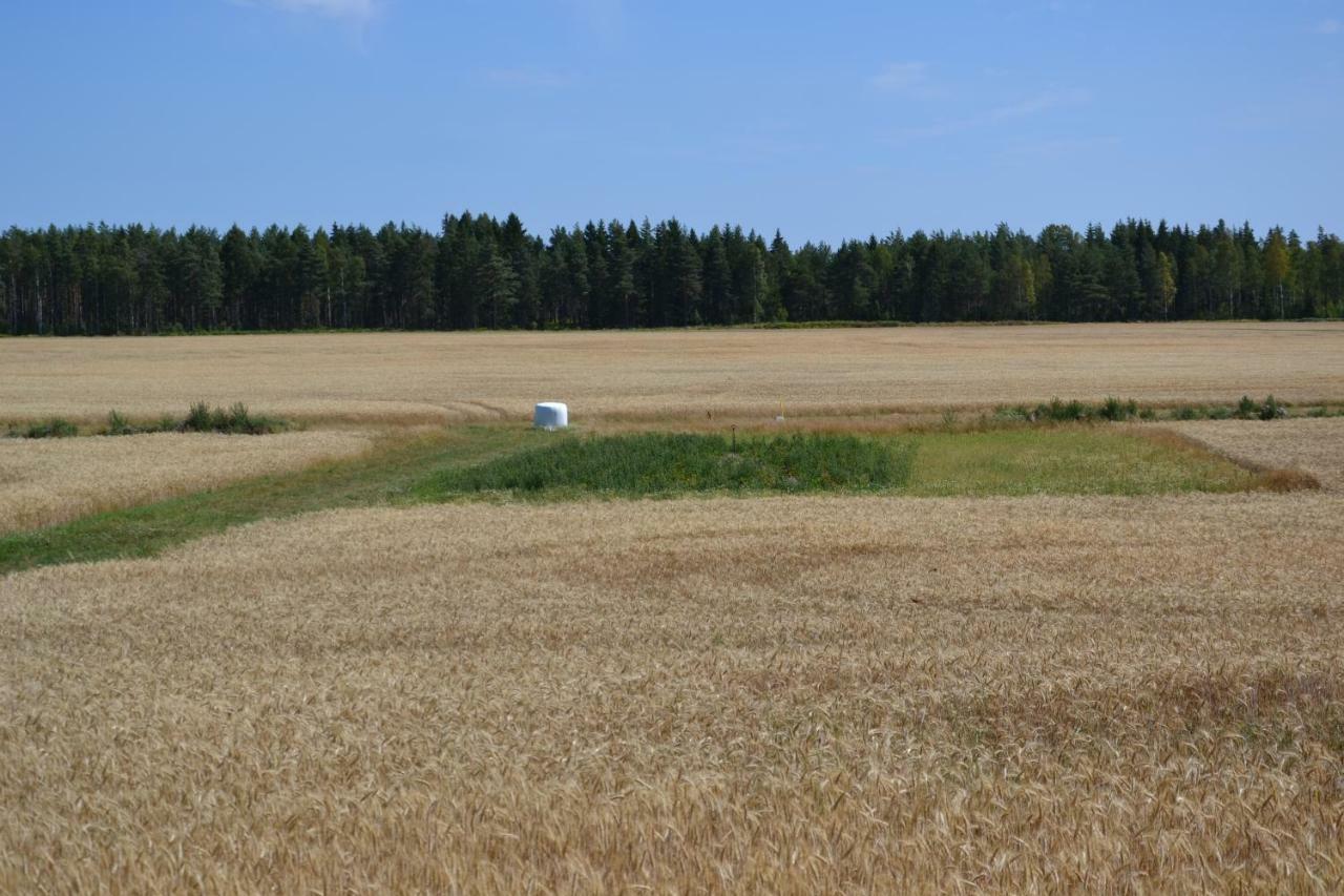 Vaermlandsnaes Valdersrud Stenroese Saffle Luaran gambar